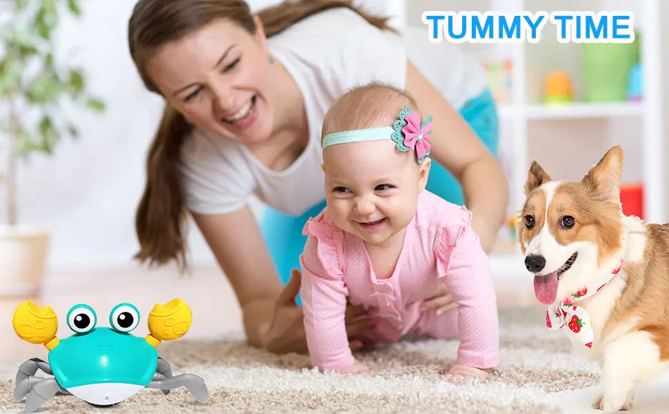 Juguete de Cangrejo para Perros