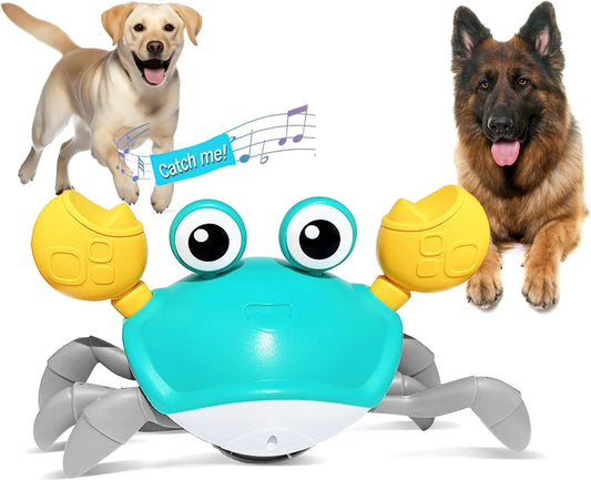 Juguete de Cangrejo para Perros