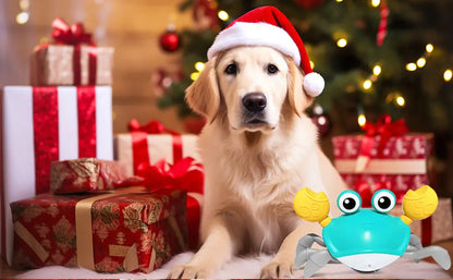 Juguete de Cangrejo para Perros