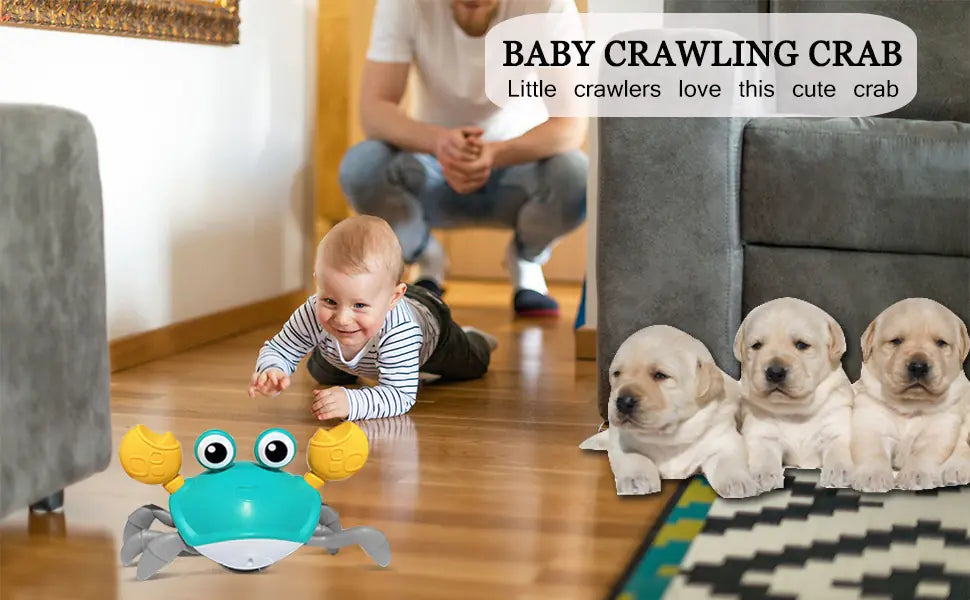 Juguete de Cangrejo para Perros