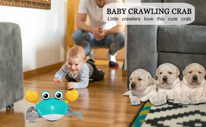 Juguete de Cangrejo para Perros